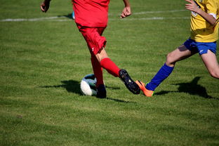 爱游戏内容中心-世界男子排球联赛意大利主场折桂,意大利男子排球联赛直播